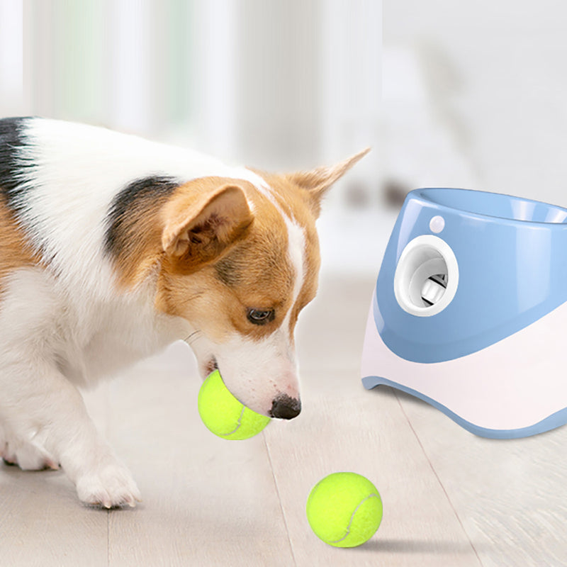 PetLance AlegriaMax - Lançador Automático de Bolas para Pets! 🎾🐾-DESCONTO!!!