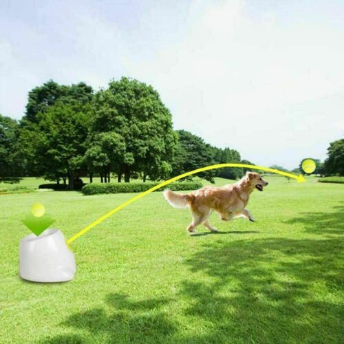 PetLance AlegriaMax - Lançador Automático de Bolas para Pets! 🎾🐾-DESCONTO!!!