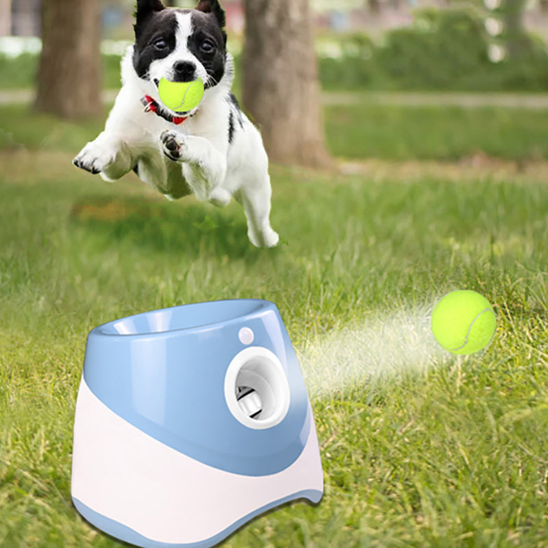 PetLance AlegriaMax - Lançador Automático de Bolas para Pets! 🎾🐾-DESCONTO!!!